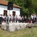 Delić programa